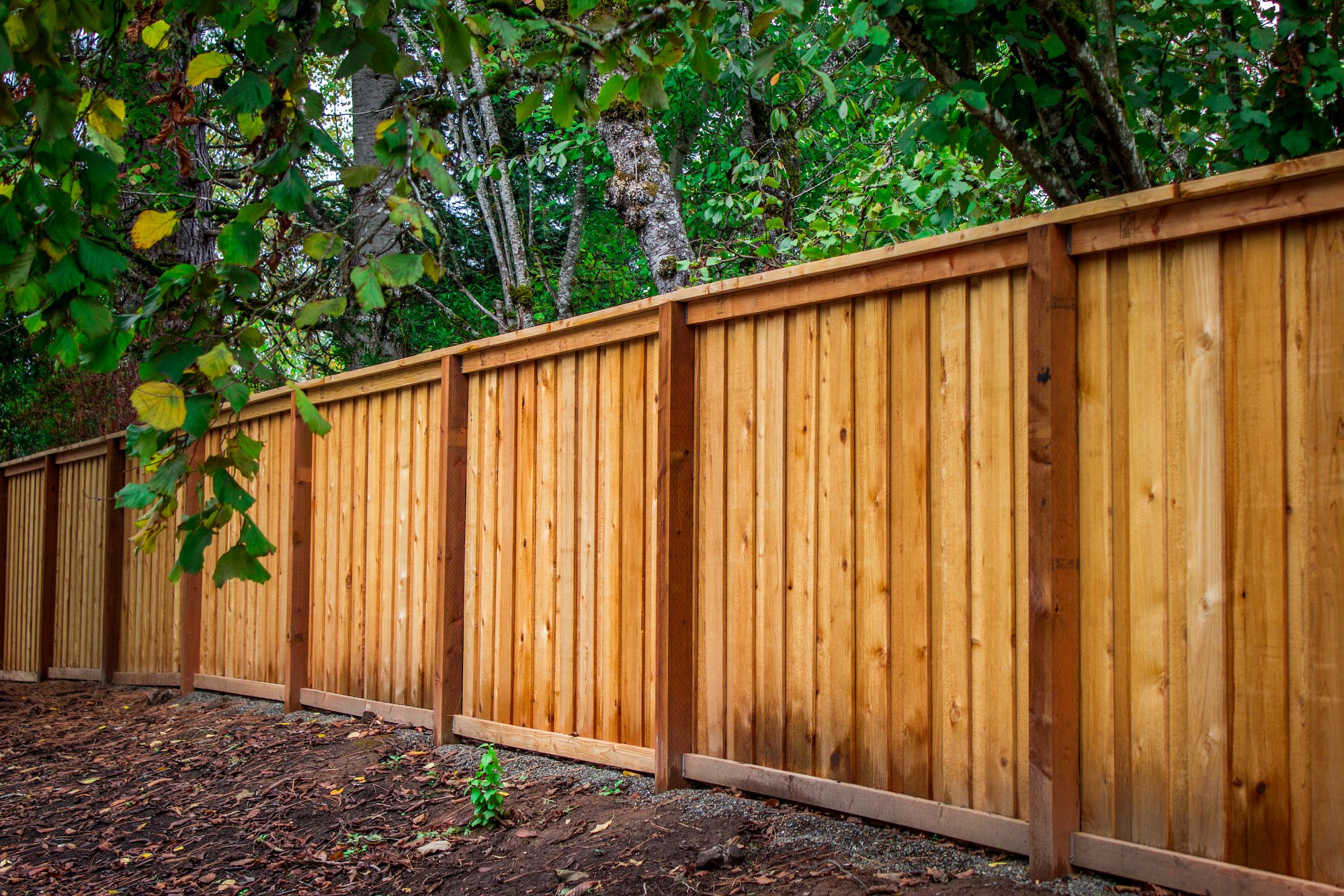 Picture Frame Cedar Fence - Portland